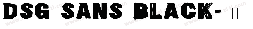 DSG Sans Black字体转换